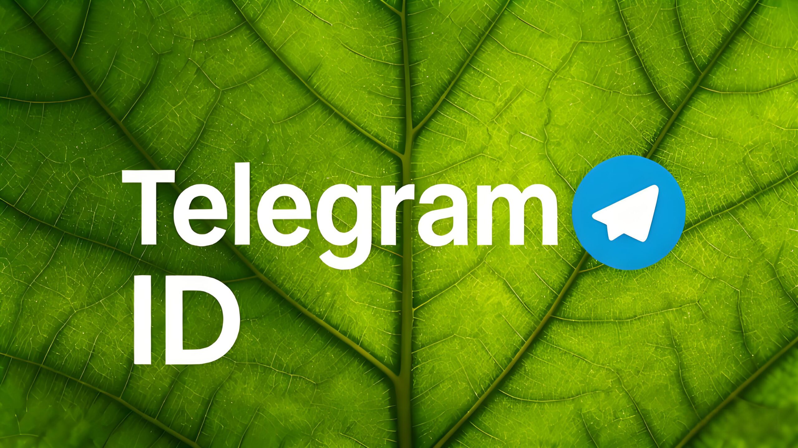 Telegram ID和用户名的区别是什么?-电报中文官网 - 纸飞机中文资讯网
