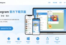 怎样辨别 Telegram 官方下载页面？-电报中文官网 - 纸飞机中文资讯网