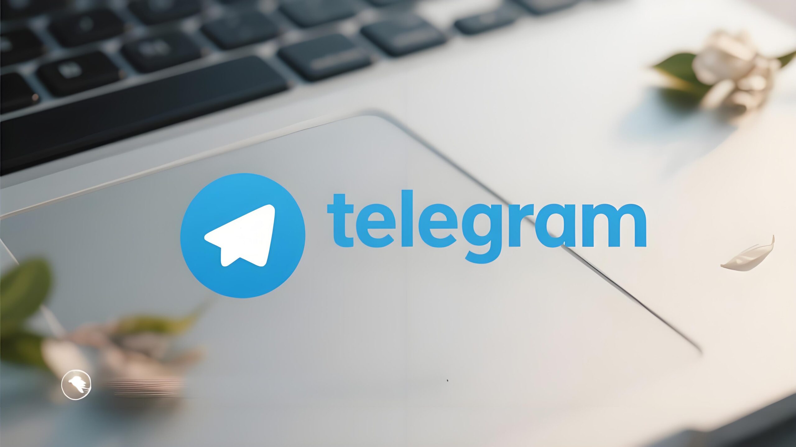 Telegram 更新后登不上？其实是这个细节没注意！