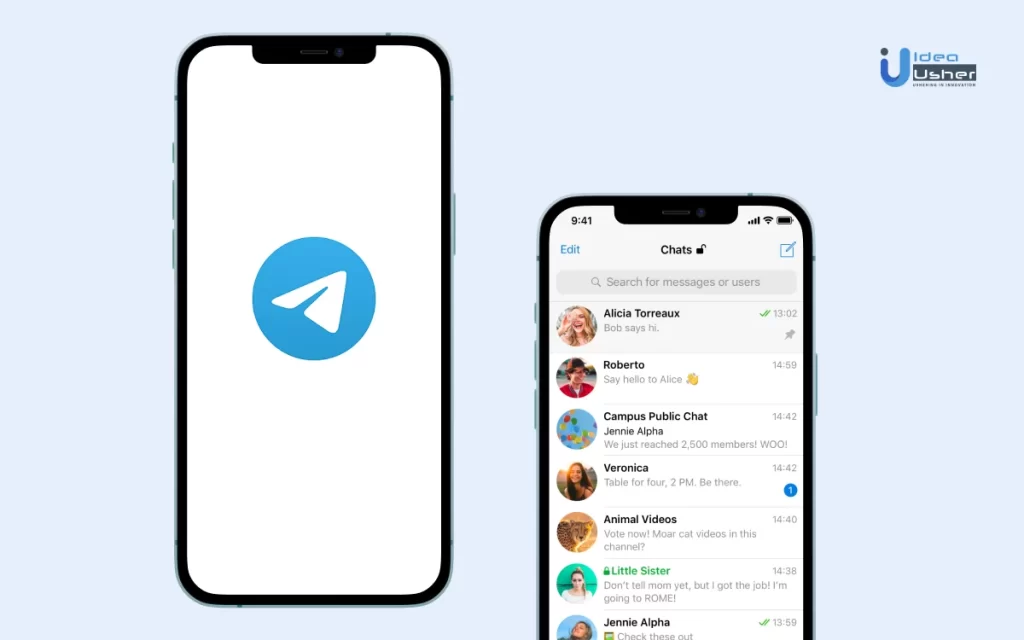 Telegram隐私设置全解析：如何管理“上次在线与在线状态”