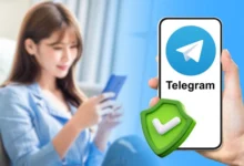 Telegram 防骚扰完整指南：私聊、拉群、邀请权限一次搞懂-电报中文官网 - 纸飞机中文资讯网